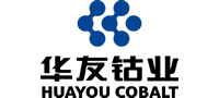 浙江華友鈷業(yè)股份有限公司