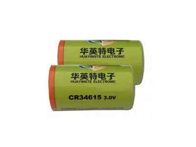 華英特 野外智能水文監(jiān)測(cè)儀專用 鋰錳電池圖2